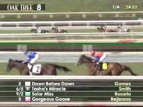 2008 Harold C. Ramser H.