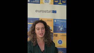 Working at the European Commission