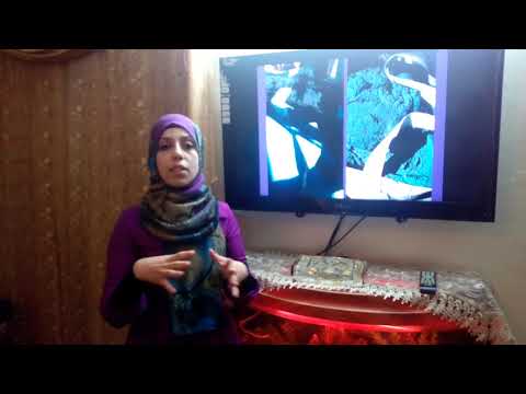 Young Champions of the Earth: Nareman Zahdeh