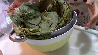 Taze Asma Yaprağı Nasıl Saklanır? - Pratik Bilgiler