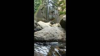 Download lagu Musik Alam || Suara air mengalir dan kicau burung untuk relaksasi mp3