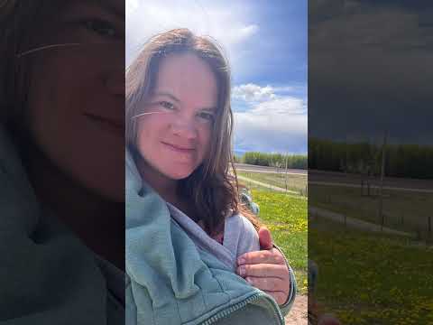 Farmer Jo Homesteading: 2025 Season Recap & Milestones