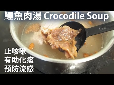 鱷魚肉湯 Crocodile Soup