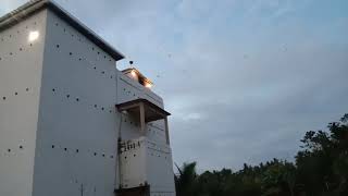 Download lagu putus jalur lintas,trik paling jitu Master Andi sufar sinar77 simak vidionya..!!! mp3 Download lagu putus jalur lintas,trik paling jitu Master Andi sufar sinar77 simak vidionya..!!! mp3