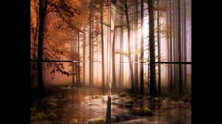 Whispers in the dark,Yanni.