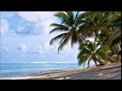 Anske vs. Tim Berg - Vilinus Bromance (Magnetic Vision Mashup)