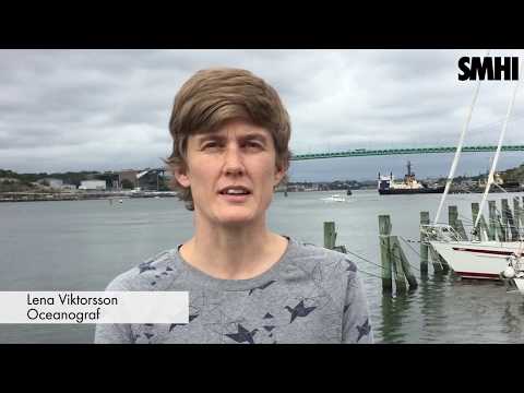 Har vi kunskapen att förvalta havet på ett hållbart sätt?