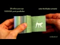 550 Million Years Of Human Evolution Flipbook