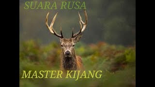 Download lagu SUARA RUSA. PEMIKAT KIJANG/MASTER KIDANG. mp3