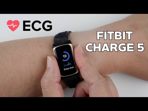 Fitbit Charge 5 ECG App – How to Use (Step-by-Step)