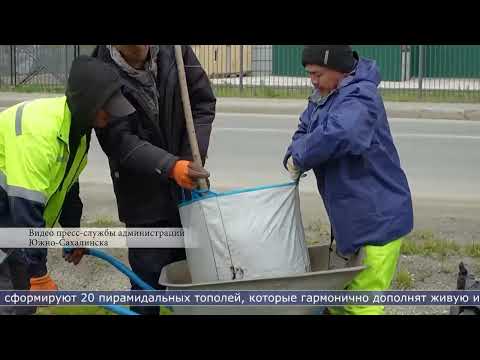 28.05.2026 В Южно-Сахалинске высадили многолетние деревья и кустарники на проспекте Мира