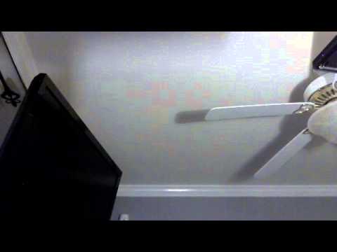 mus zoo koj by light of day(cover)