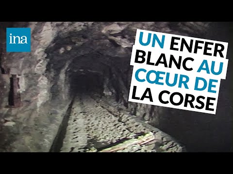 Archive télévisée : Environnement et littoral corses : les alertes d'archives