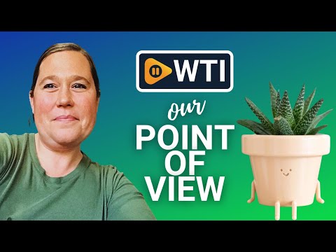 Indoor Plant Pot - WTI product video review
