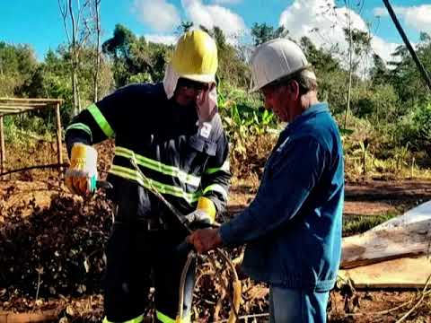 Contingente Latir Avileño