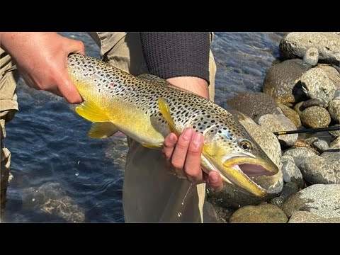¡Increíble Pesca en la Patagonia! Malleo, Aluminé y Collón Curá – Parte II