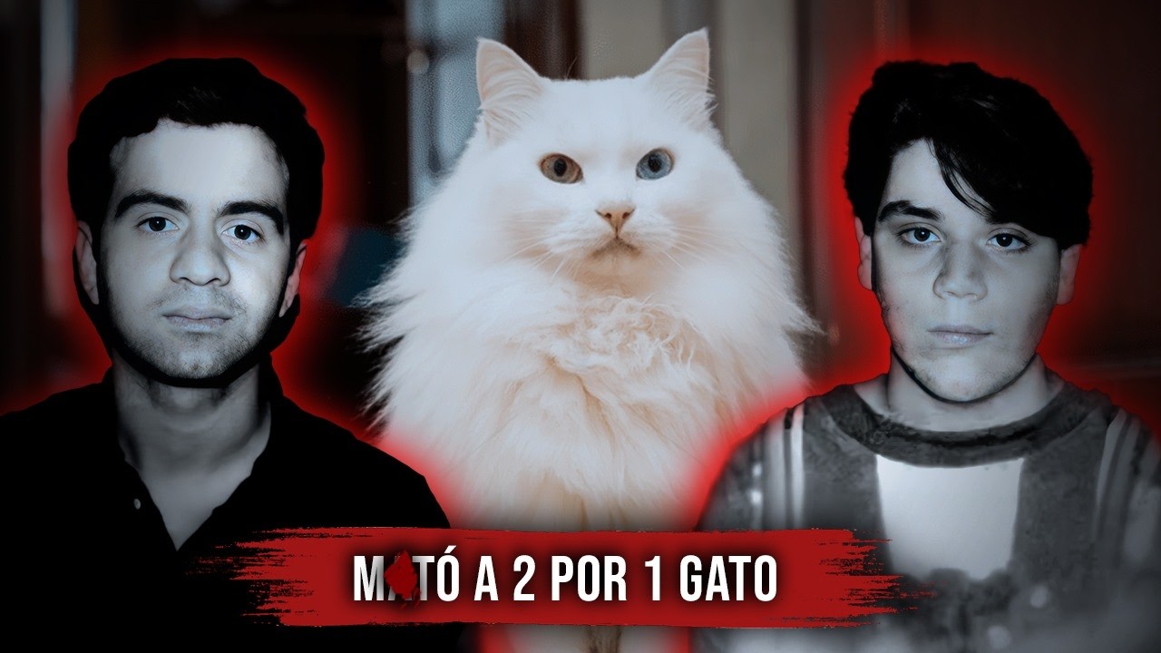 Compra de un GATO terminó con doble AS3SlNATO! Caso Cibell Naime