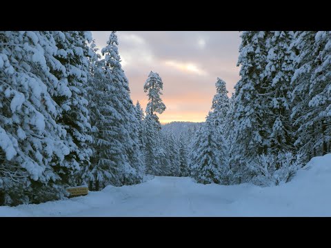 From Mineral, CA to Kohm Yah-mah-nee Visitor Center in Lassen Volcanic National Park