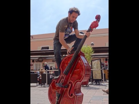 The swamps cats-Susie Q