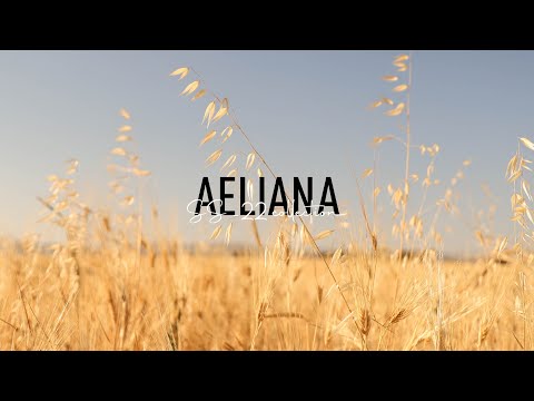 Willow Aubrey | Aeliana SS22