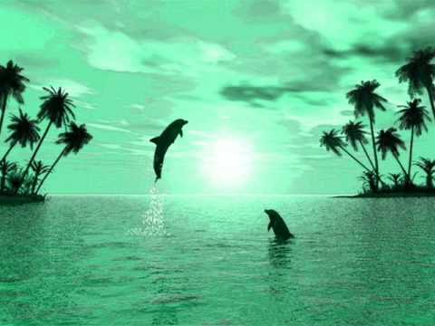 stefano centomo bivio