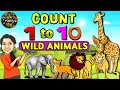 Wild Animals Count 1 To 10 Live Examples WATRstar