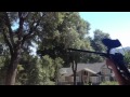 Shooting Spyder 2000