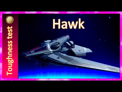 3.17.4 Toughness test Hawk - Cursed by design