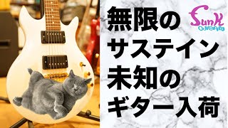 Video thumbnail for 【激レア】無限のサステイン、未知のギター ARISTIDES 020 入荷！ - ギター屋 funk ojisan by funk ojisan