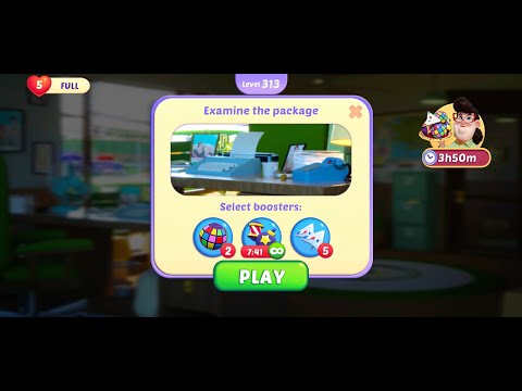 Small Town Murders Level 313