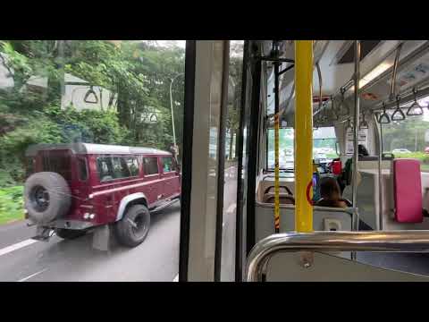 [SMRT Buses] Mercedes-Benz OC500LE - Service 985