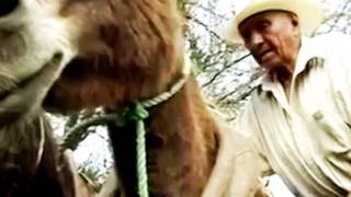 los alegres de teran cuatro milpas tula tamaulipas