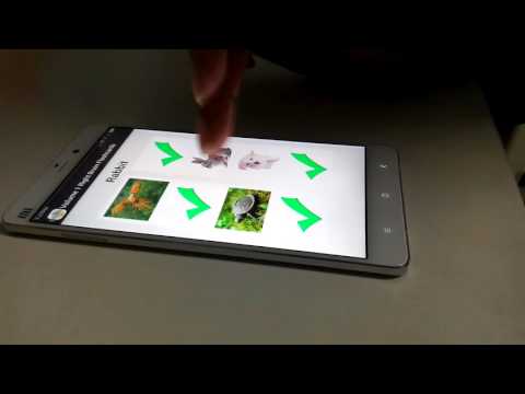 Vol 1 Right Brain Flashcards Video