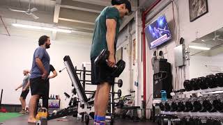 Bicep DB Single Curls 1