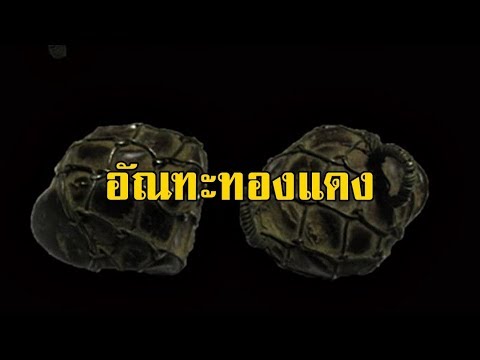 เชื้อโรคม้าใน Samara ซื้อ รักษาความอ่อนแอในผู้ชายหลังจาก 50 ปี