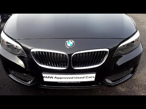 161D16188 - 161D16188 BMW 218i SE Coupe