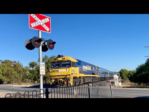 The Overland - 1AM8 - NR10