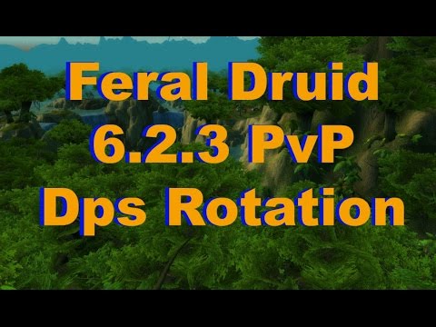 Feral Druid pvp 6.2.3 Dps Rotation