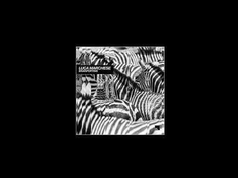 Luca Marchese  - Brainporting (Original Mix)