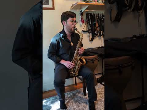 1969 Selmer Mark VI Alto Sax-Orig Lacquer/Overhauled/New BAM Case Free USA Ship  Video Demo image 26
