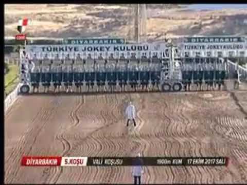 DİYARBAKIR VALİ KOŞUSU      (AÇIK-A3/4+A)  17/10/2017 DİYARBAKIR