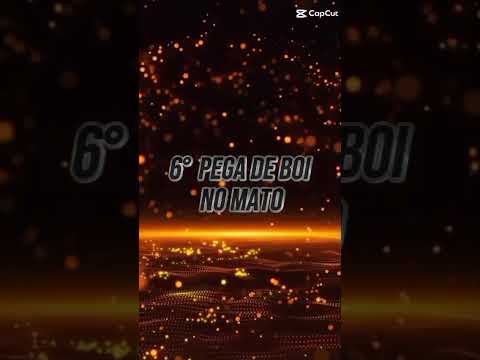 dia 19 de outubro tem pega boi no sitio queimadas monte horebe paraiba