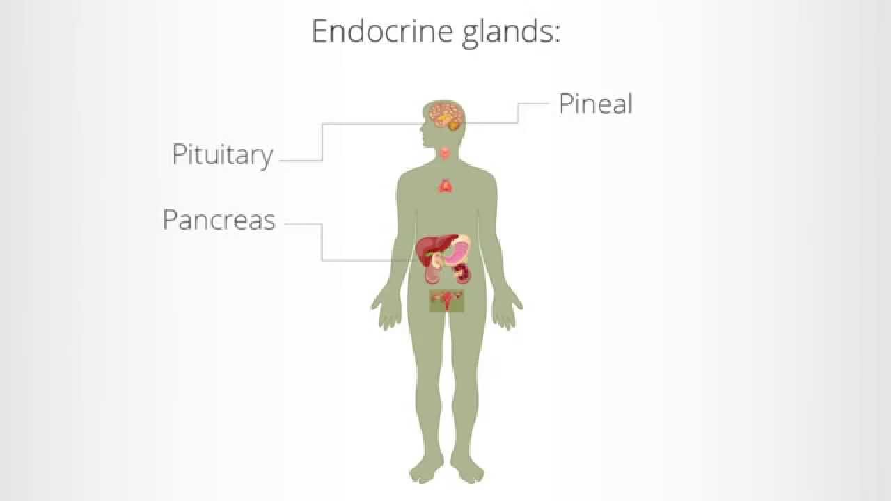 How to Balance Your Hormones Naturally