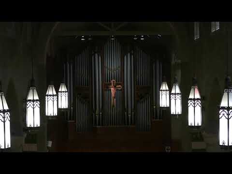 J.S. Bach: In dir ist Freude, BWV 615 (Orgelbüchlein) — Gabriel Arregui, organ