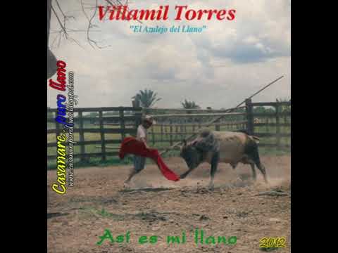 Ser Soltero Es Lo Mejor - Villamil Torres