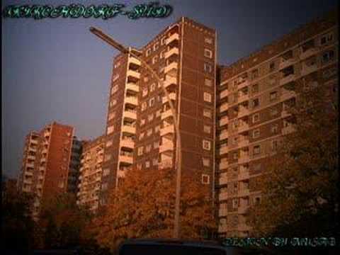 TAM - JEDER RAPT JETZT