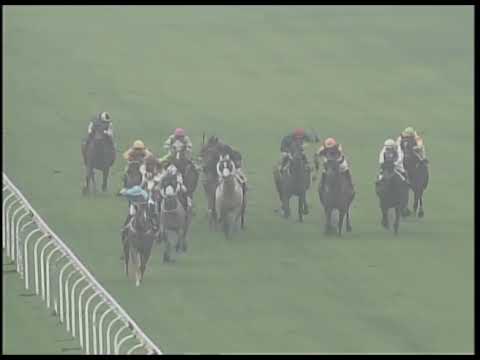 2019-02-23 Race 4(0166) - THE MONGKOK