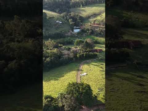 Água, verde e pôr do sol: combinação perfeita 🌅
