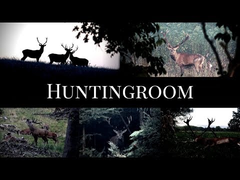 Der König der Wälder - Jagd auf Rothirsche - DER FILM(TRAILER 2017)