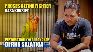 Download lagu PERTAMA KALINYA DI BONGKAR !!PROSES BETINA FIGHTER RASA KONSLET DI MARKAS RHN SALATIGA mp3